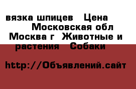 вязка шпицев › Цена ­ 10 000 - Московская обл., Москва г. Животные и растения » Собаки   